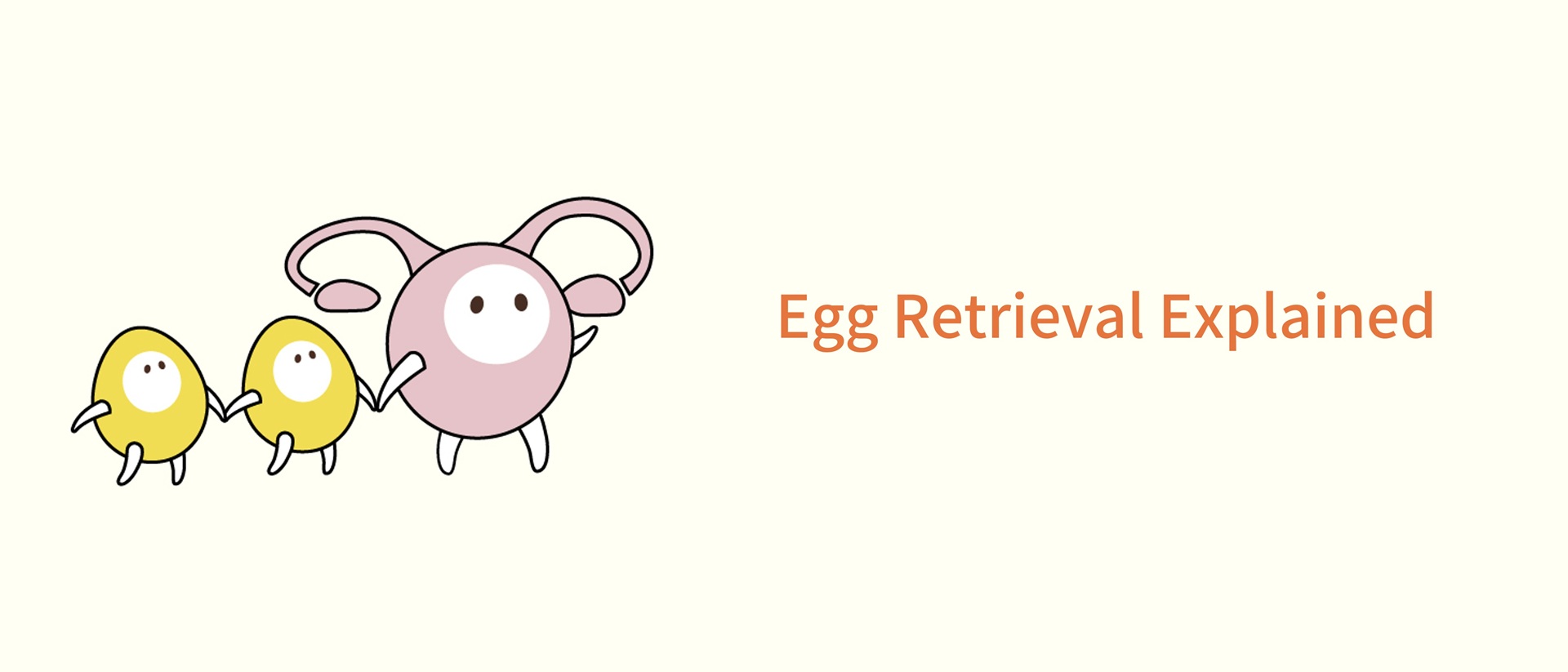 Egg Retrieval Explained: What Happens, Recovery & Side Effects