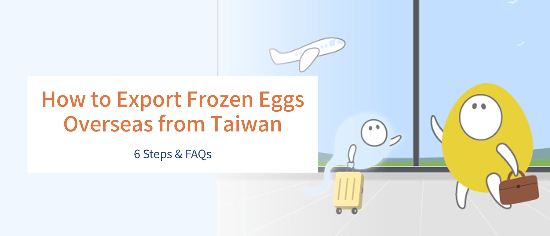 How to Export Frozen Eggs Overseas from Taiwan: 6 Steps & FAQs