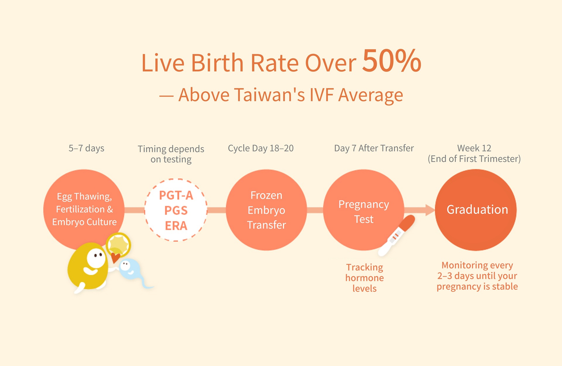 IVF with frozen eggs at Stork Fertility Center: live birth rate over 50%, from egg thawing and embryo culture to frozen embryo transfer, pregnancy test and graduation at week 12