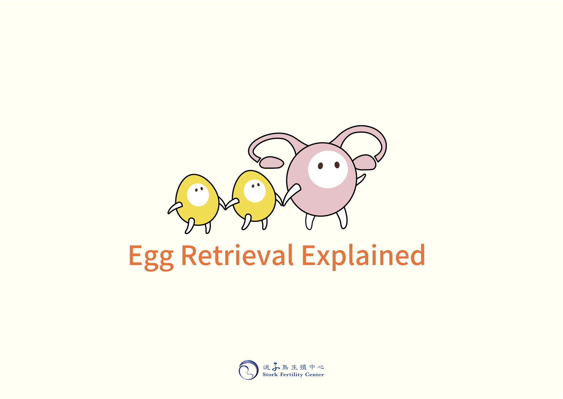 Egg Retrieval Explained: an illustrated guide to the egg retrieval procedure at Stork Fertility Center