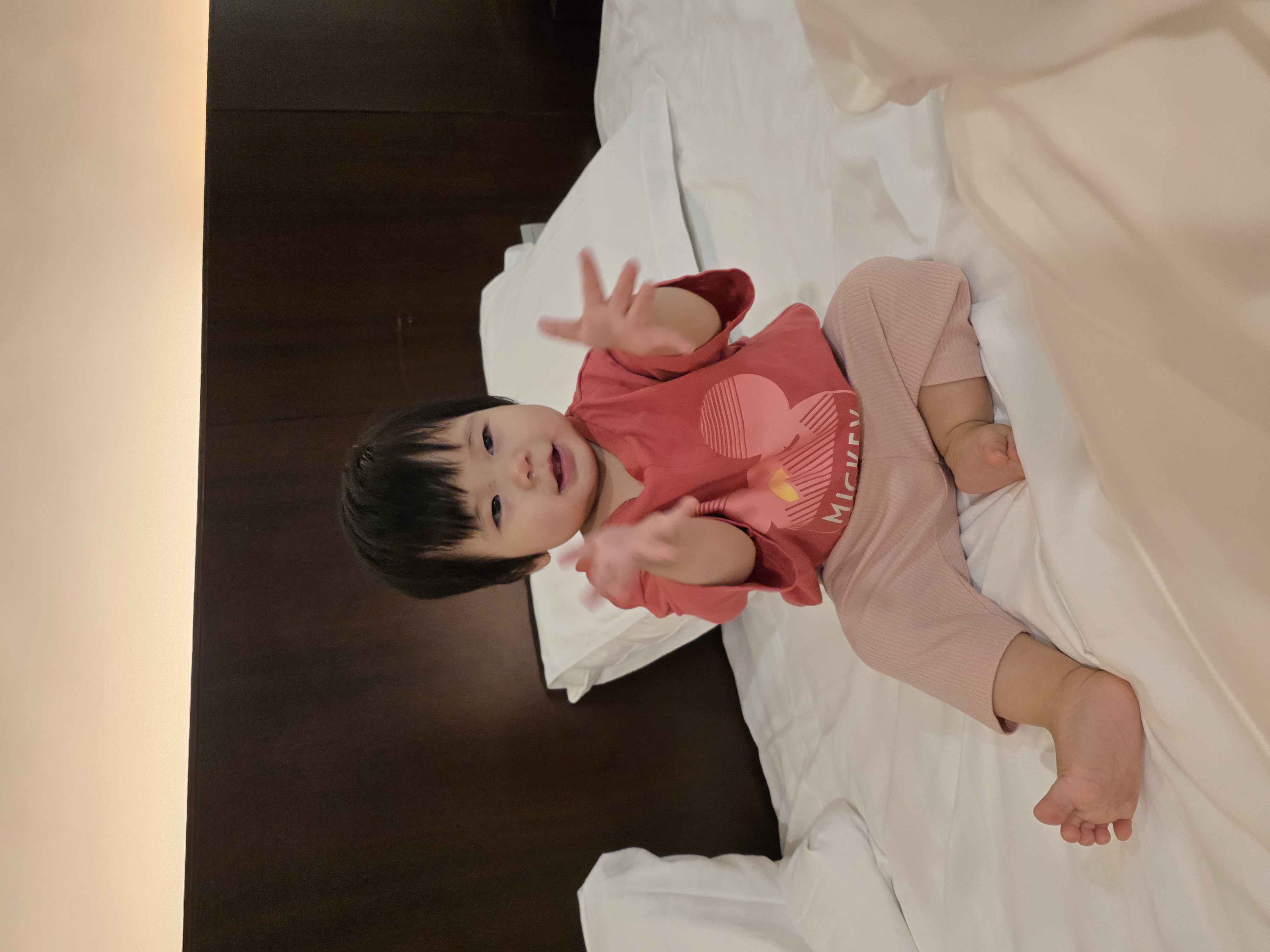 龍龍寶