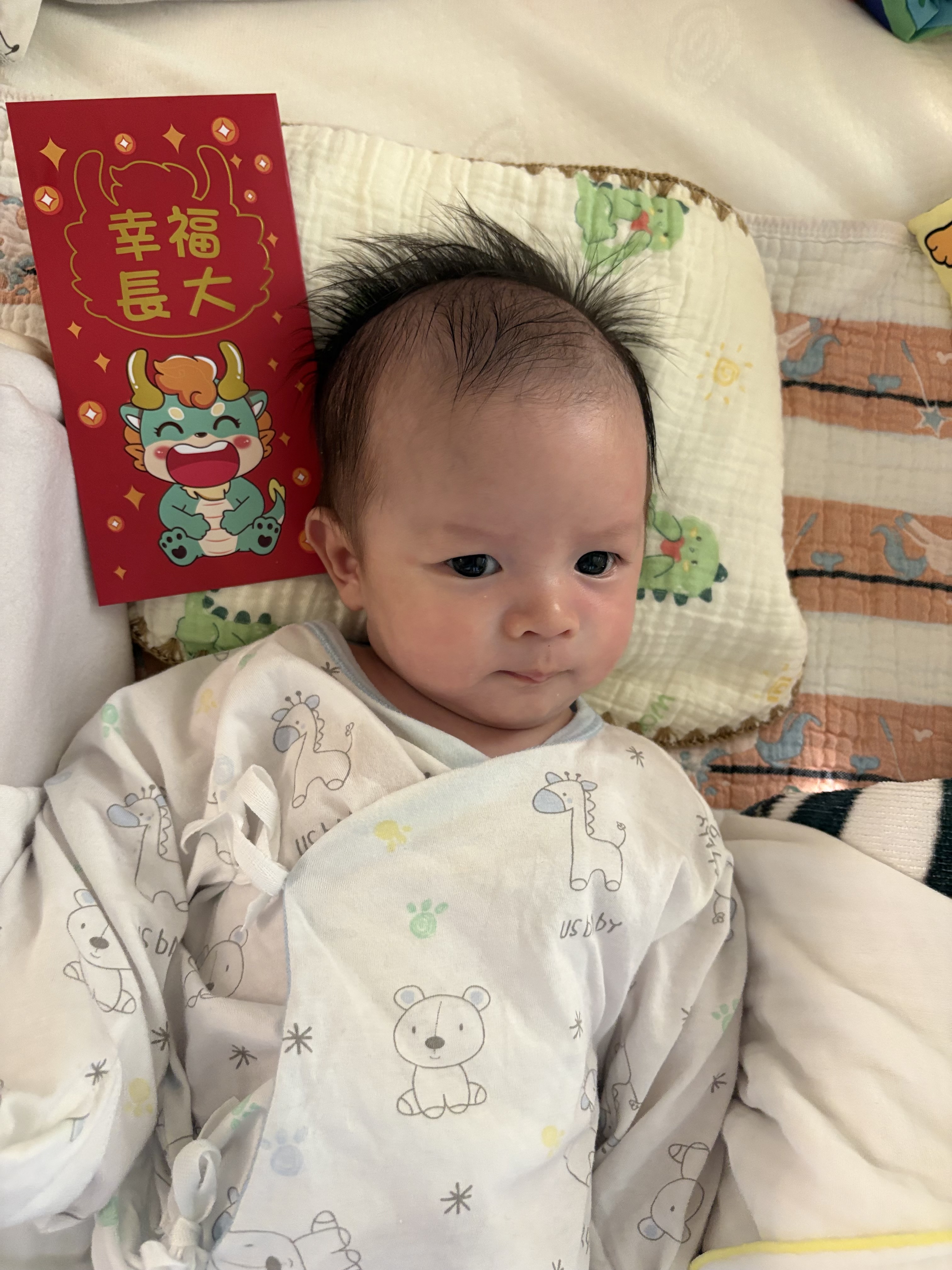 海綿