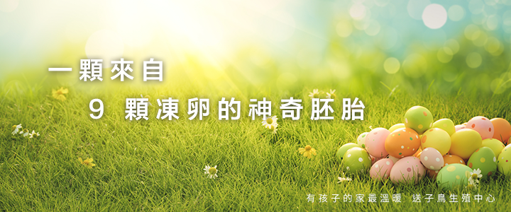 一顆來自 9 顆凍卵的神奇胚胎