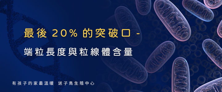 最后20%的突破口-端粒长度与粒线体含量 | 送子鸟生殖中心