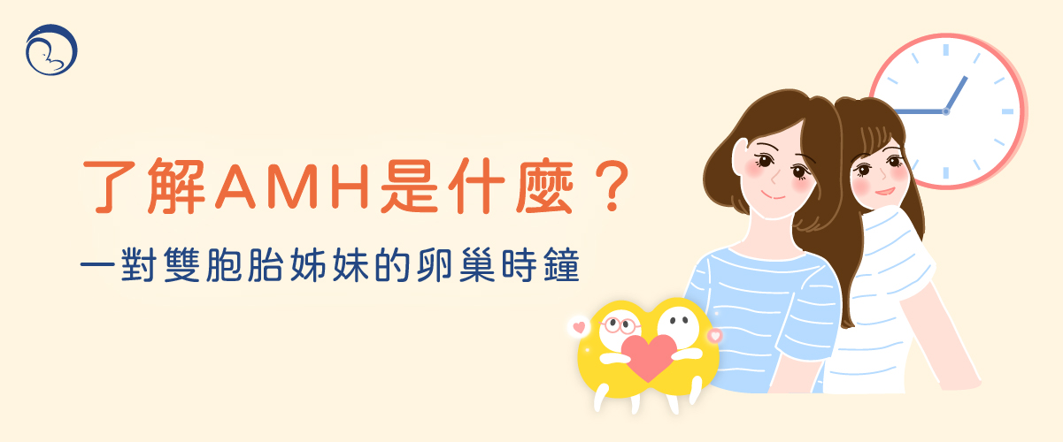 了解AMH是什麼？AMH檢查? 根據AMH值提供凍卵建議