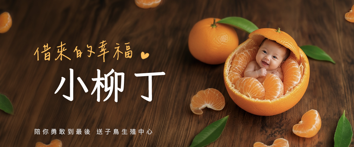 借來的幸福 小柳丁