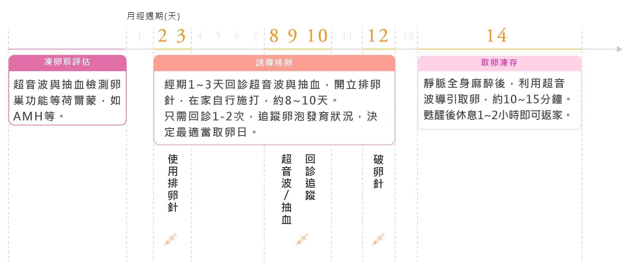 凍卵流程圖