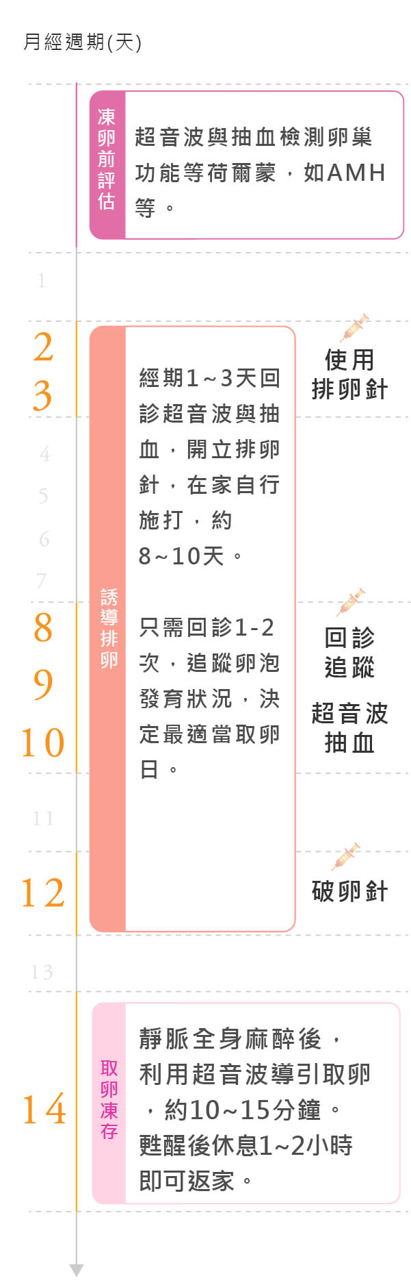 凍卵流程圖