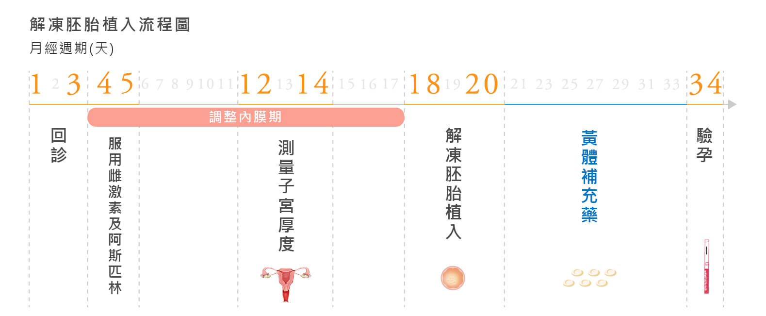 試管嬰兒凍胚植入流程圖