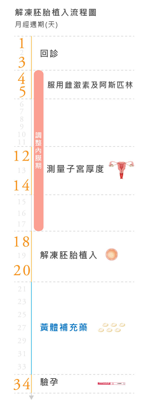 試管嬰兒凍胚植入流程圖
