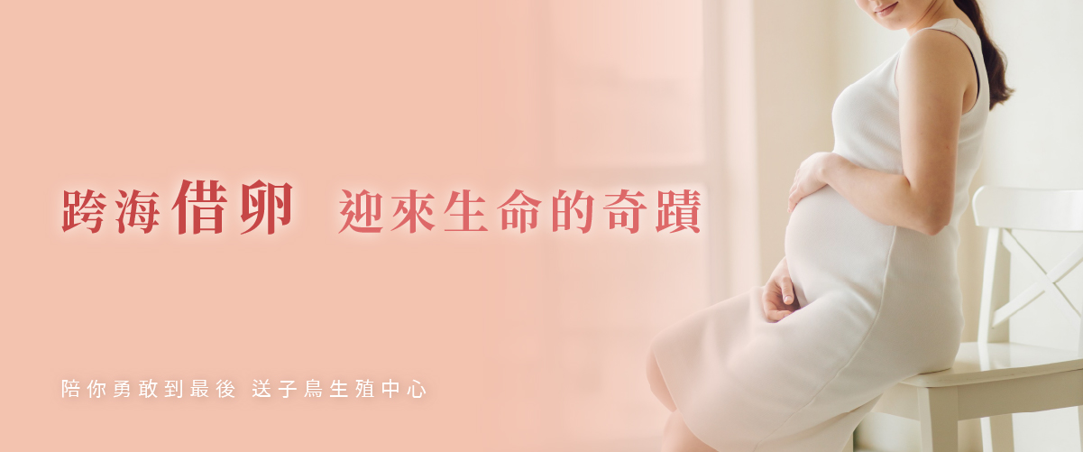 跨海借卵，迎來生命的奇蹟