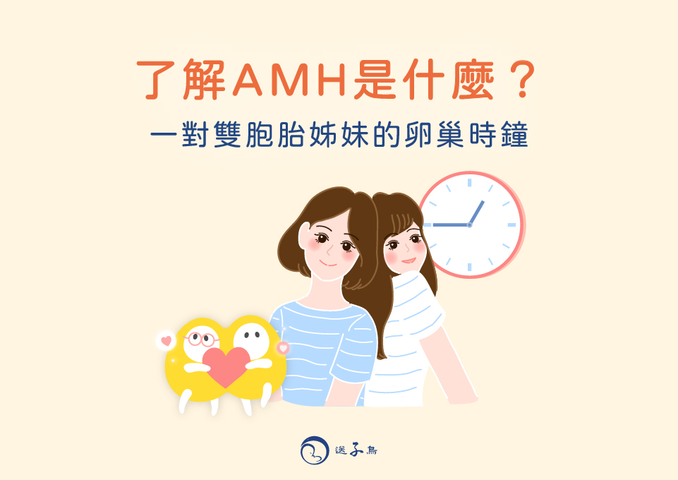 AMH是什麼
