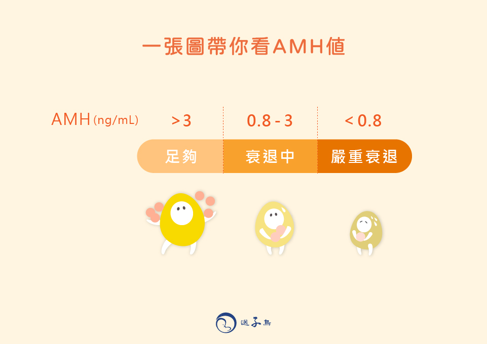 AMH值
