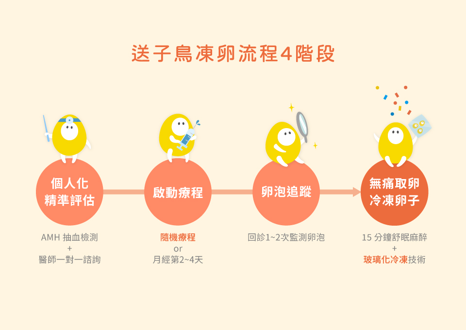 送子鳥凍卵流程