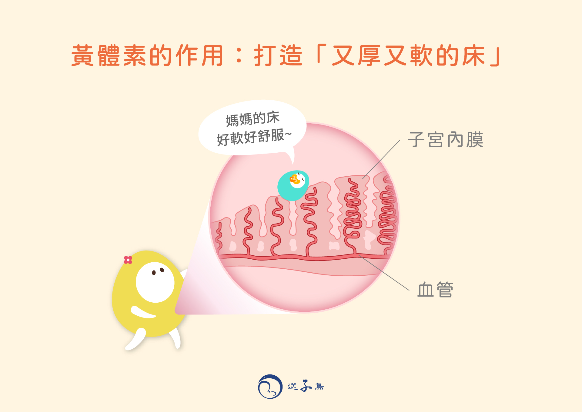 黃體素的作用