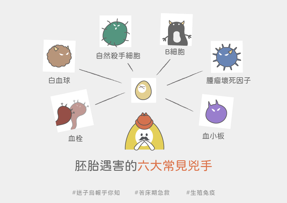 胚胎遇害兇手