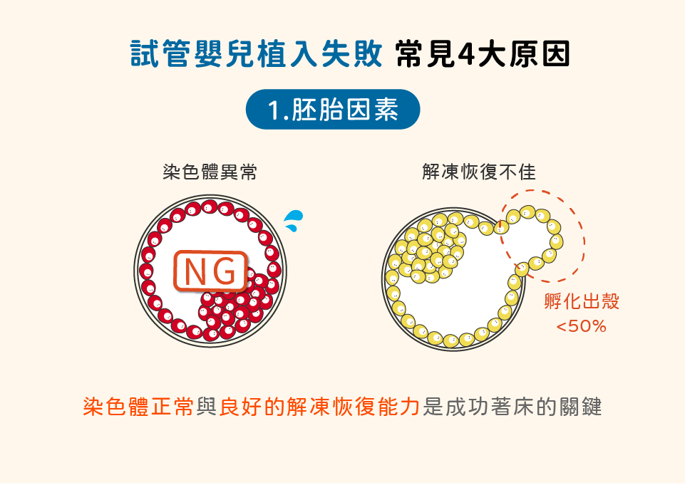 试管婴儿植入失败，原因胚胎因素