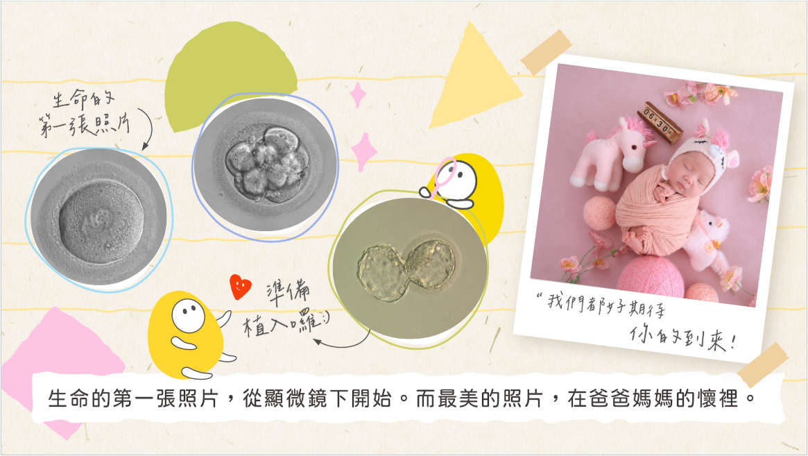 送子鳥寶寶,試管成功,反覆植入失敗