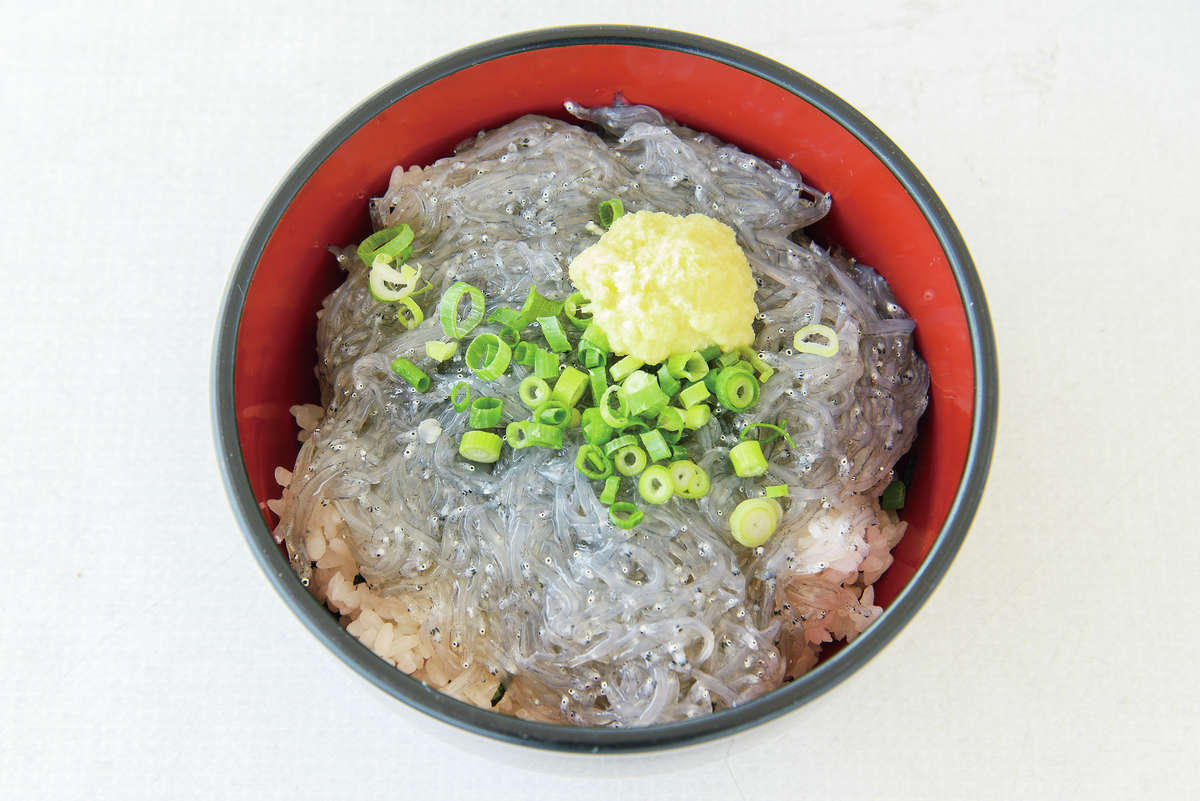 獲れたてピチピチ 桜えび しらす 旬を味わう産地ならではの海の幸 まちぽ