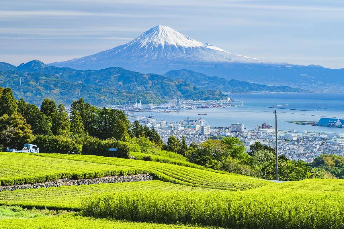 日本平山頂に展望施設がオープン 話題のエリアを満喫しよう 静岡市 Shizupass