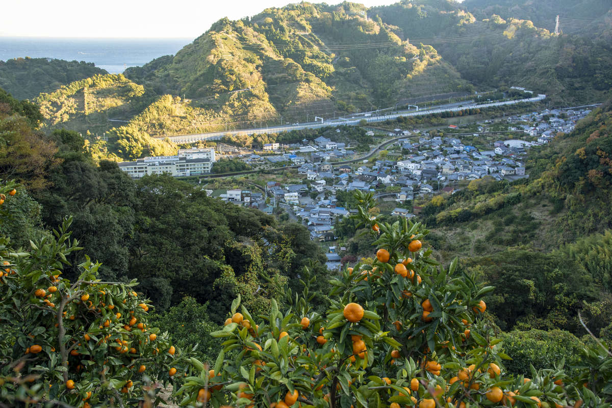 祝 小坂地区が静岡県の ふじのくに美しく品格のある邑 に登録決定 まちぽ