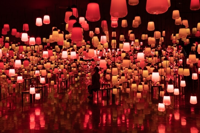 teamLab X earth music & ecology
a forest where gods live