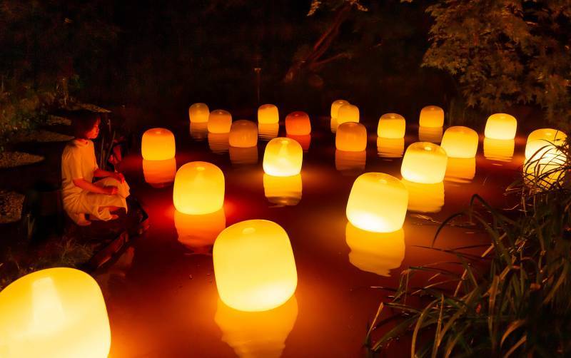 teamLab X earth music & ecology
a forest where gods live