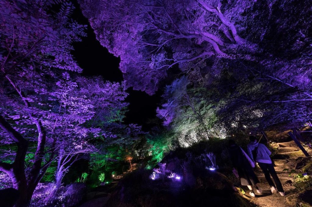 teamLab X earth music & ecology
a forest where gods live
