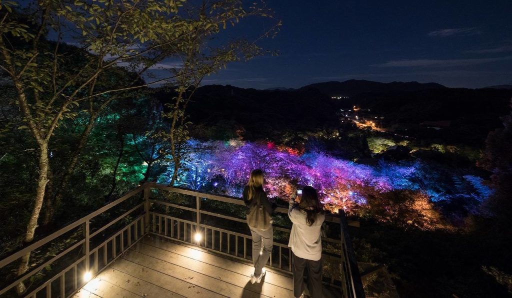 teamLab X earth music & ecology
a forest where gods live
