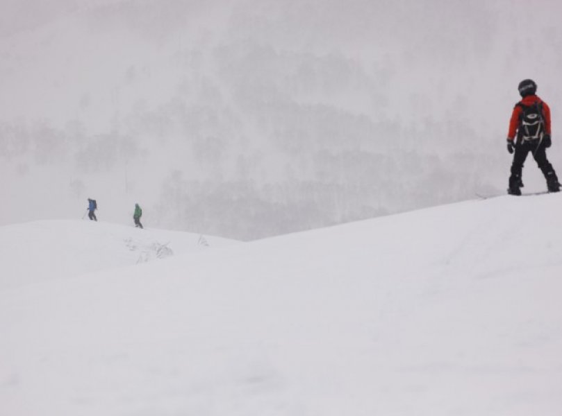 Backbowls