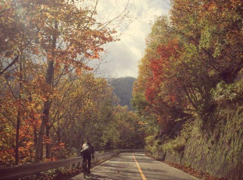 Bike Ashikaga 1