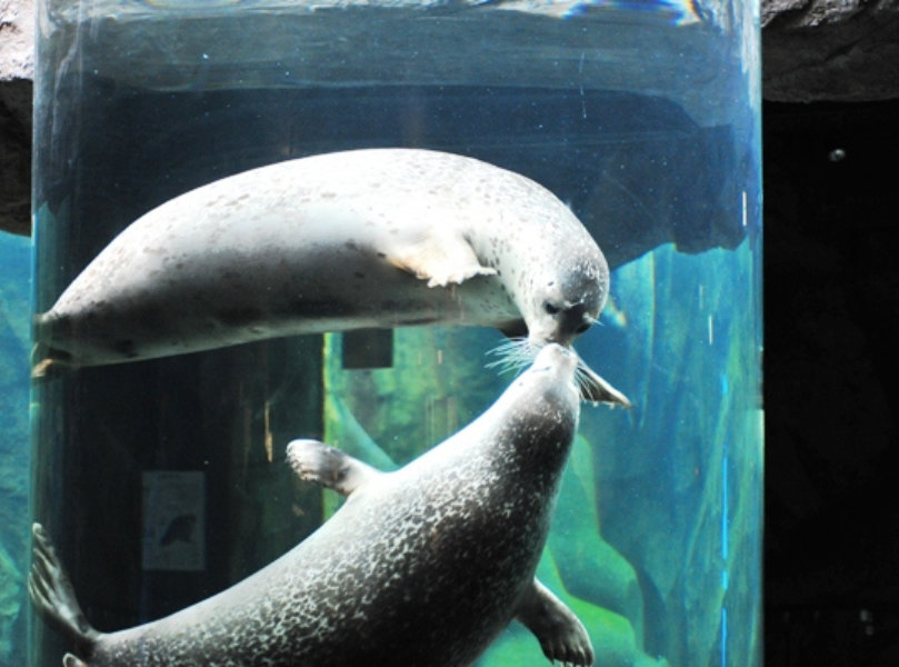 Hokkaido Zoo