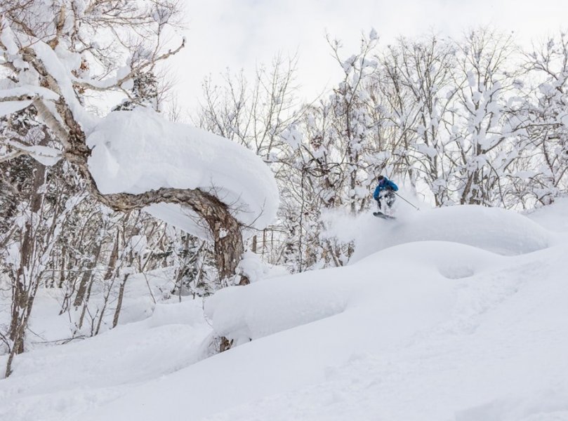 N Photo Hokkaido Camp 5