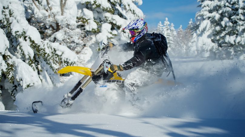 Niseko Snowbike Adventures Trees