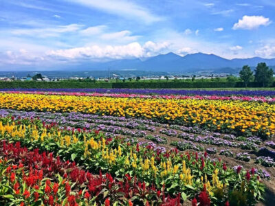 Hokkaido Farm