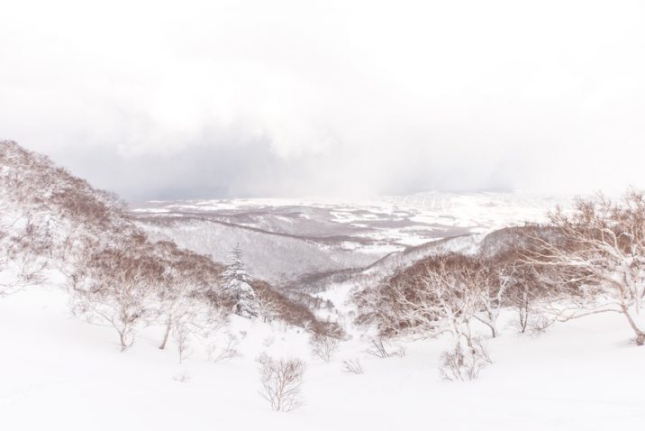Blog Photo 5 Iwanai View