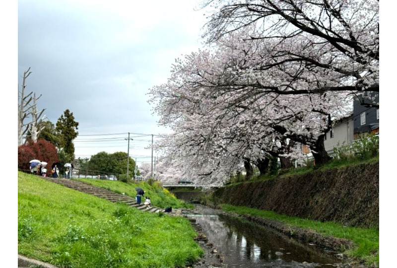 location_photo