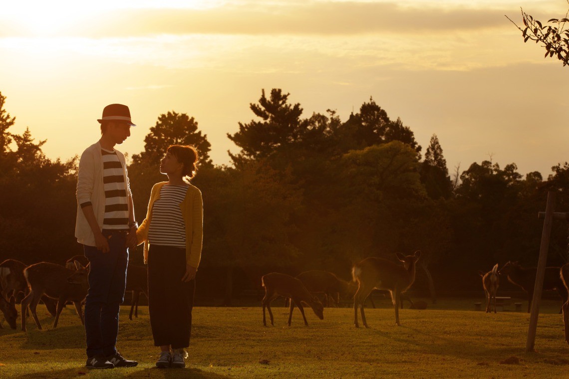 Found within Nara Park! — Photo by B WORKs PHOTOGRAPHY