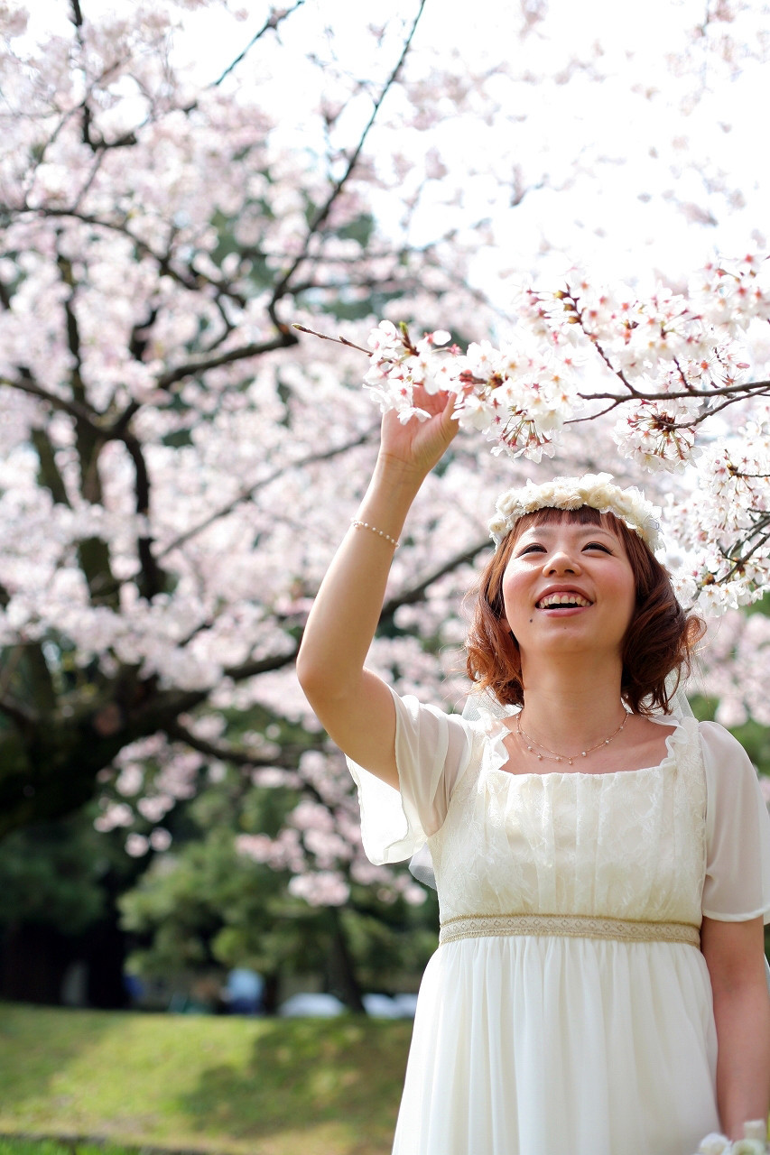 Sweet sakura shot — Photo by ecoo