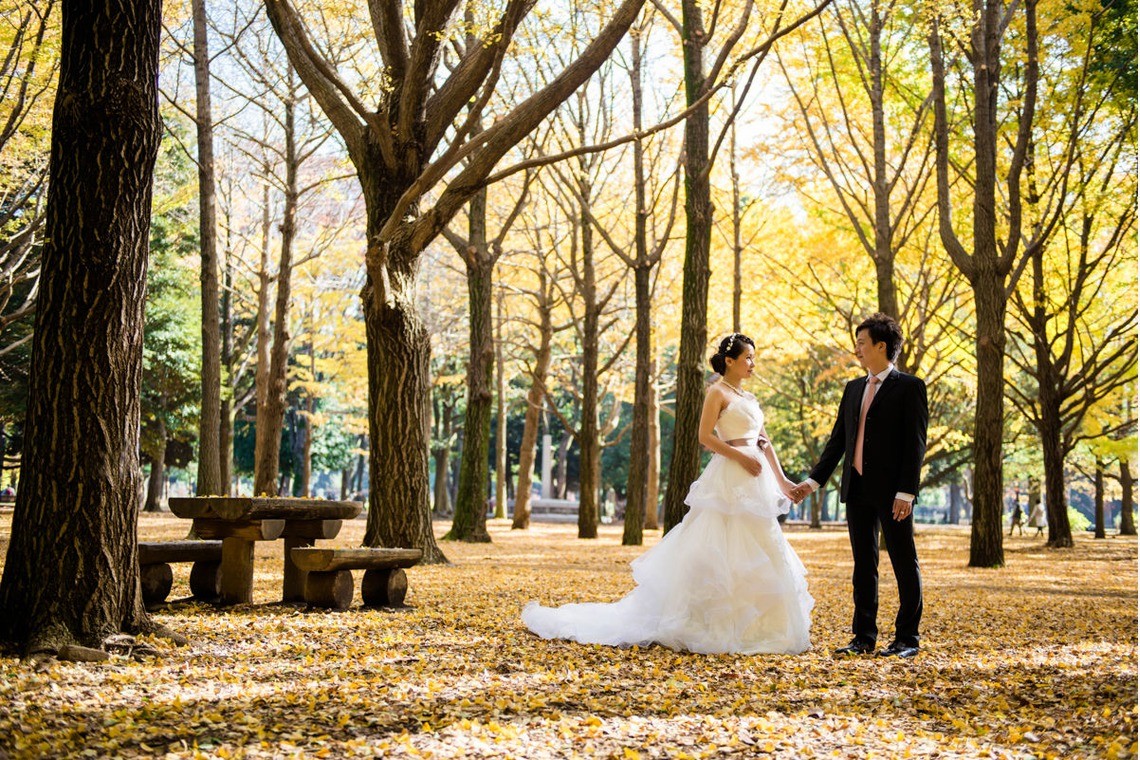 The park is also known to have many different types of trees and flowers — Photo by YEWKONG Photography