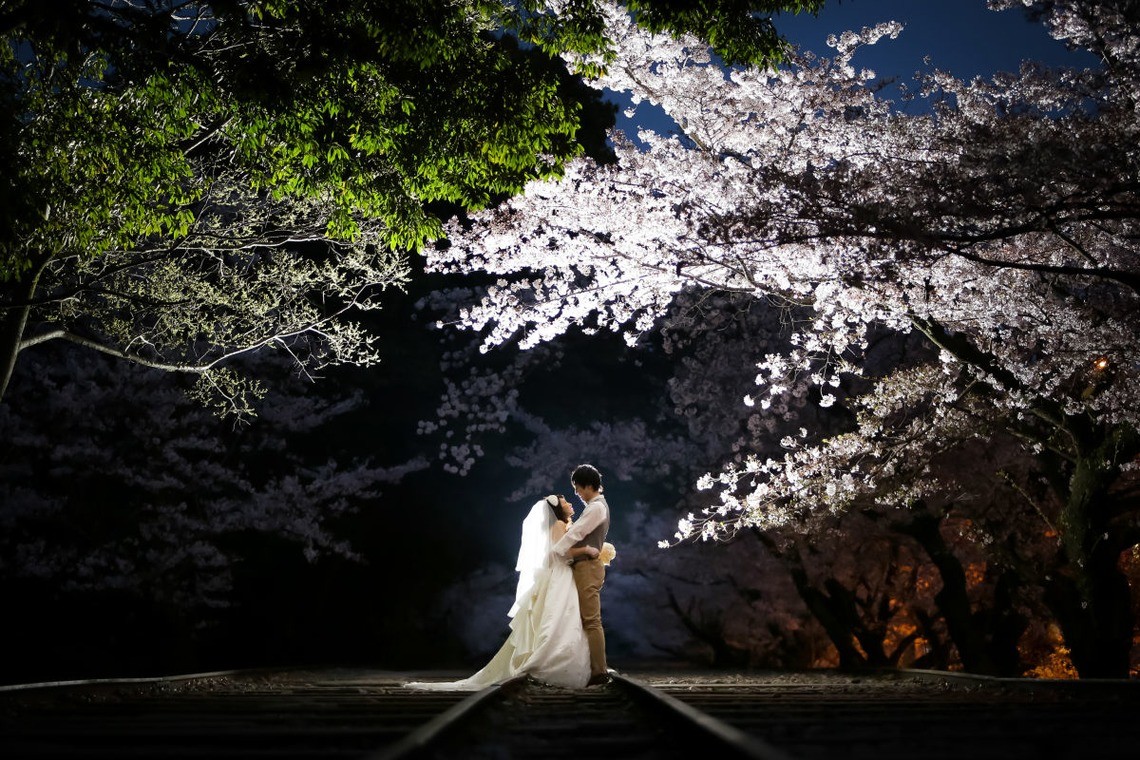 A dramatic photo with the cherry blossoms — Photo by elle pupa