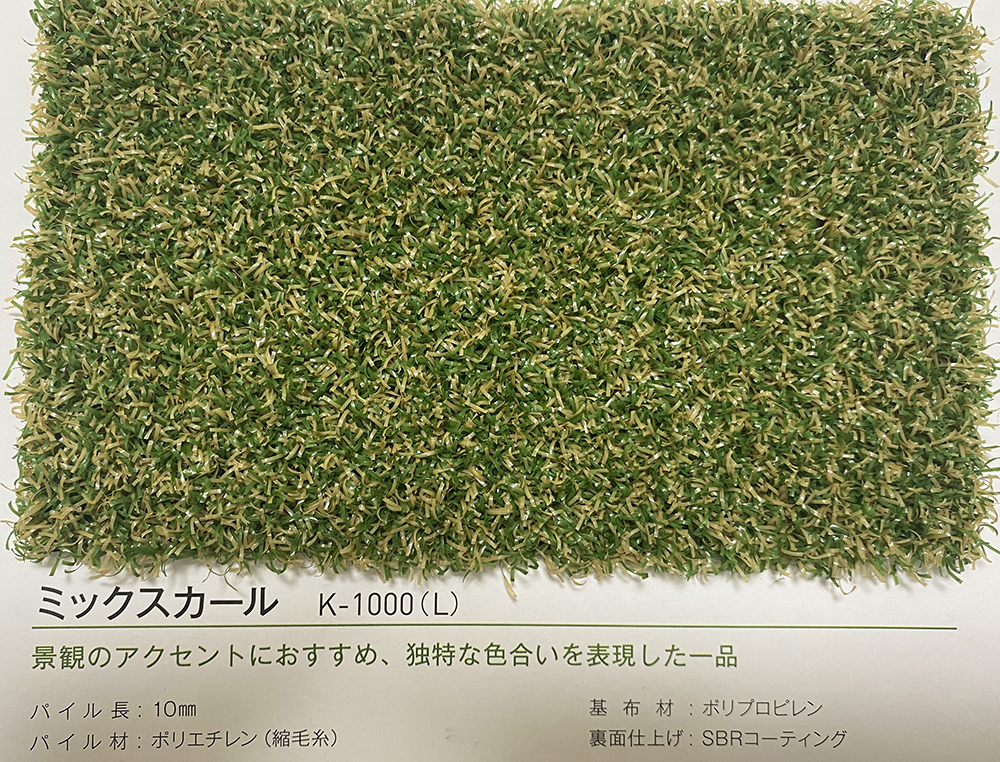 ͹ǡ襷ߥӿץ롡ߥå