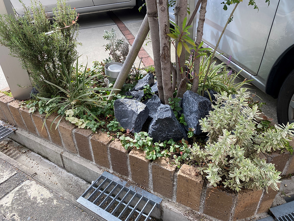 ファミリー庭園大阪店 展示 ロックガーデン ファミリー庭園大阪店 展示 ロックガーデン