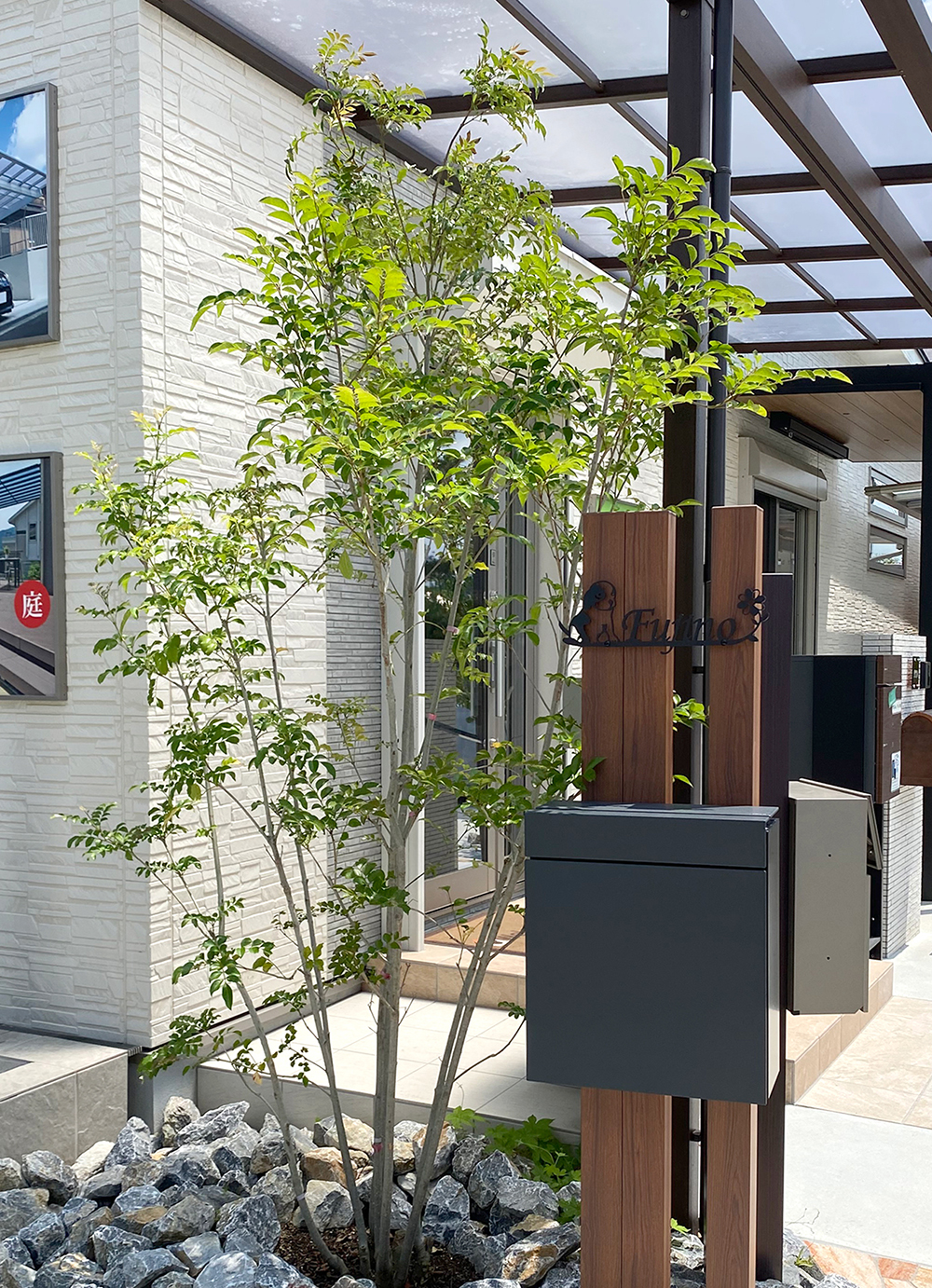 ファミリー庭園奈良店　展示　ヤマボウシ