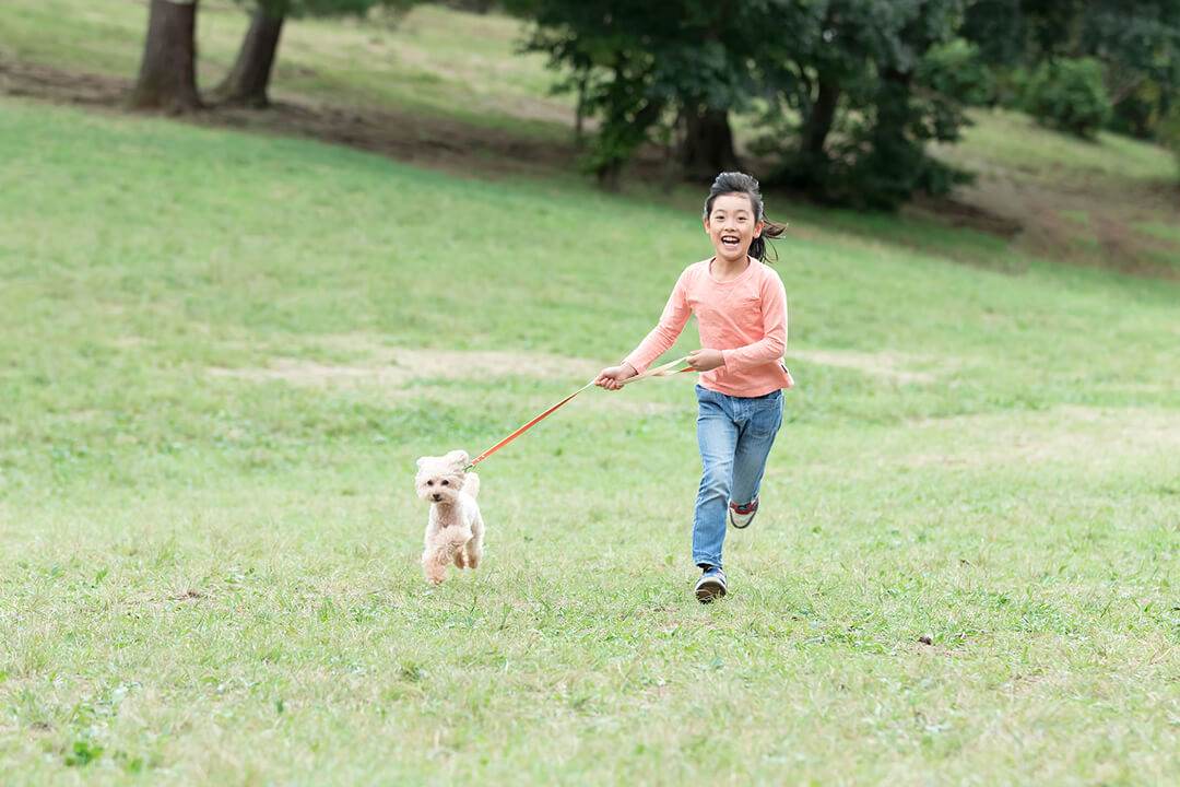 犬が人にもたらす効果とは | 三井翔平 | Fanimal(ファニマル) 少女と一緒に走るトイ・プードル | Fanimal(ファニマル)