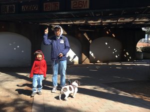 フレンチブルドッグのムギちゃんと行く ツマコのお出かけ日記 ~井の頭公園編~ | Fanimal(ファニマル) ツマコのお出かけ日記 高架下 | Fanimal(ファニマル)
