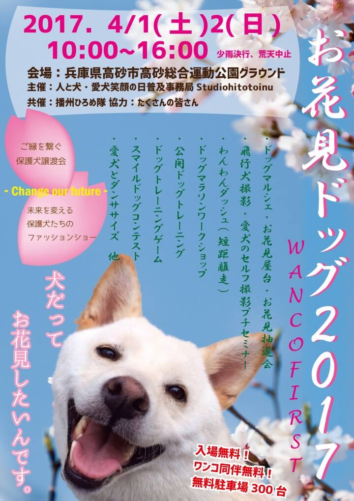 お花見ドッグ2017チラシ | Fanimal(ファニマル) お花見ドッグ2017チラシ