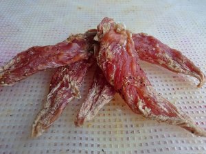 【飼い主は見た!犬猫生態図鑑】 実録!本に載ってないサルーキの生態 後編 | Fanimal(ファニマル) 飼い主は見た!犬猫生態図鑑 サルーキ後編4 | Fanimal(ファニマル)