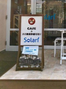 【ワンだろう!事典】無麻酔歯石取り~犬の歯のお手入れしてますか? | Fanimal(ファニマル)