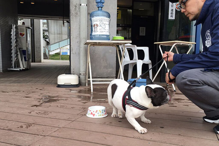 フレンチブルドッグのムギちゃんと行く ツマコのお出かけ日記 ~お台場編~ | Fanimal(ファニマル) フレブルムギ~お台場編~3 | Fanimal(ファニマル)